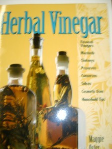 Herbal Vinger